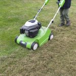 When is the best time to dethatch your lawn?