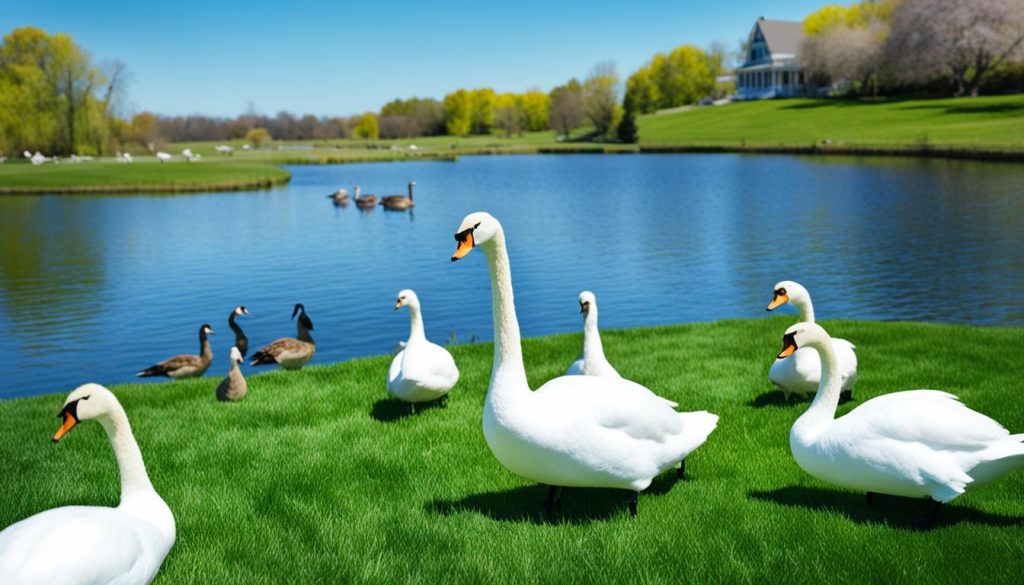 goose deterrent swan decoy