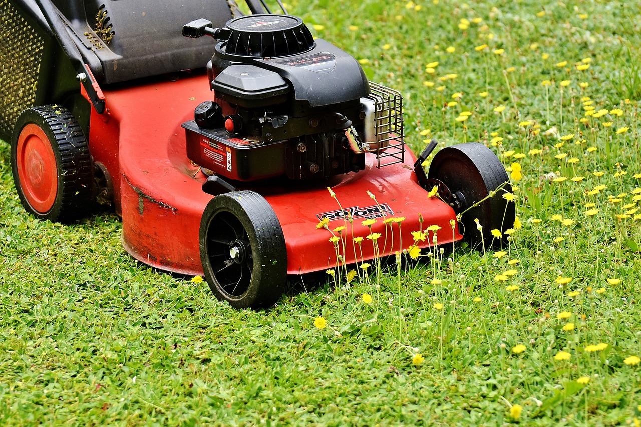 When to put weed killer on lawn