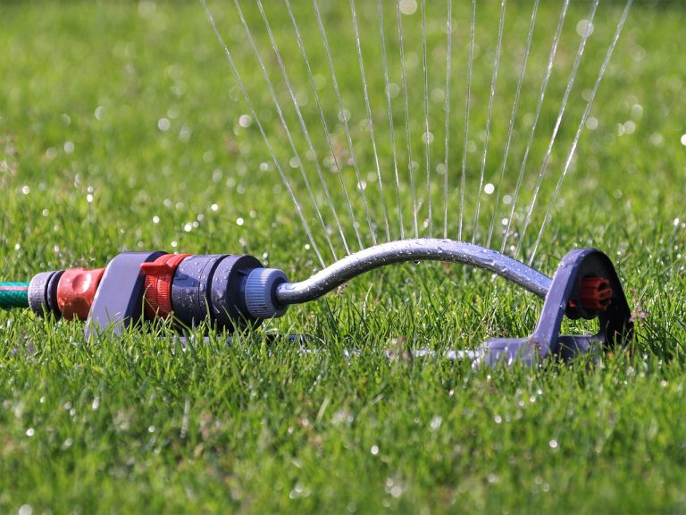 When is the best time to water your lawn?