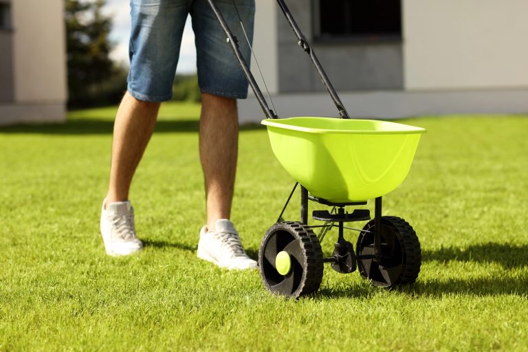 Best Lawn Fertilizers