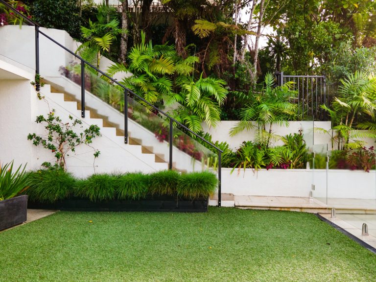 Essential Tips for a Lush Green Lawn