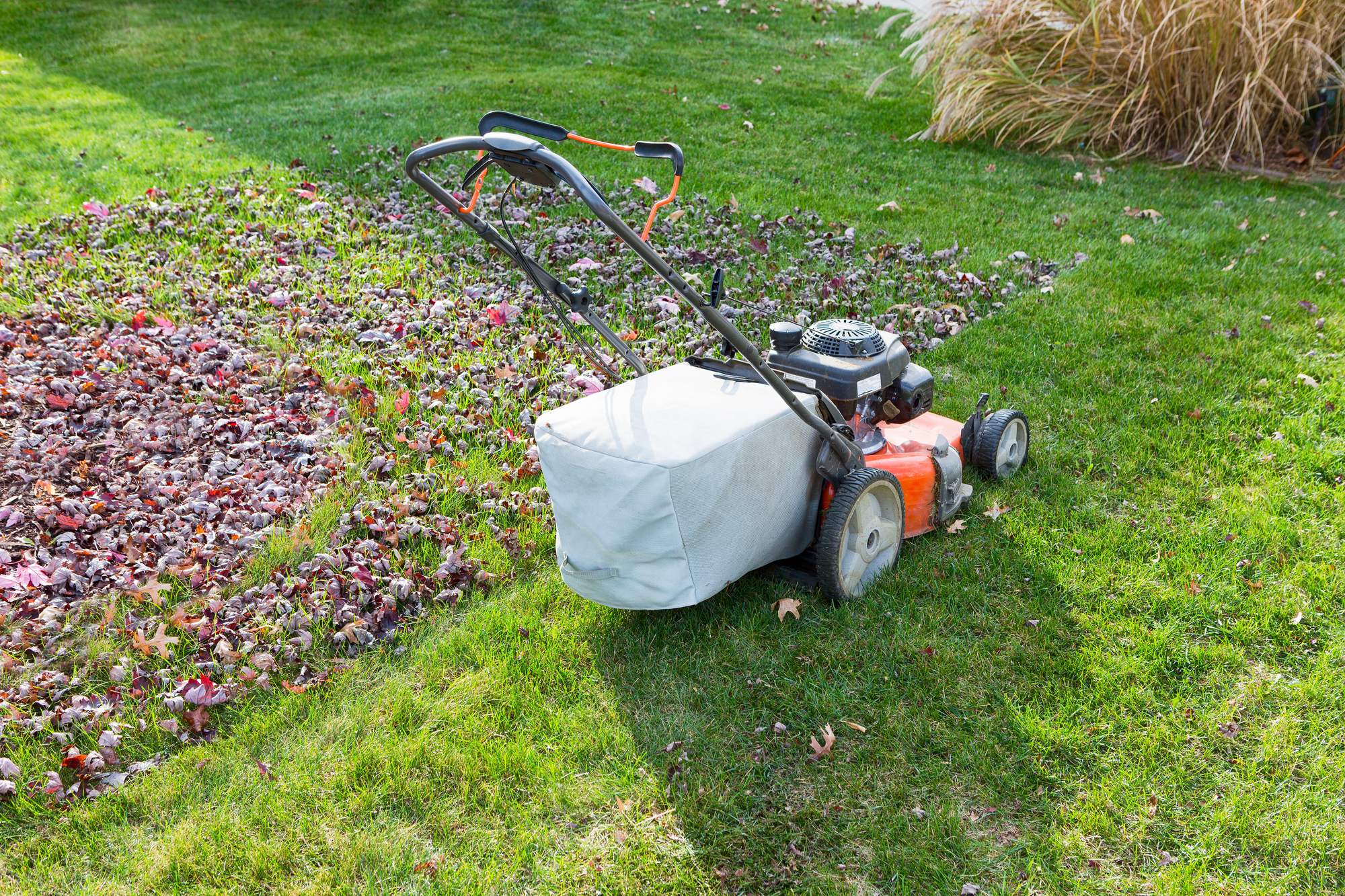 End of Summer Lawn Inspection: Identifying Problems Before Winter