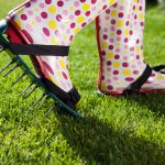 Aeration Tips for a Healthier Winter Lawn