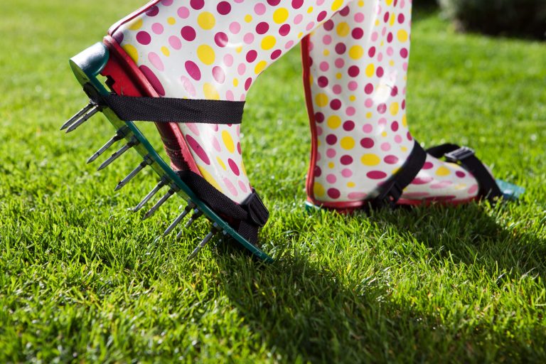 Aeration Tips for a Healthier Winter Lawn