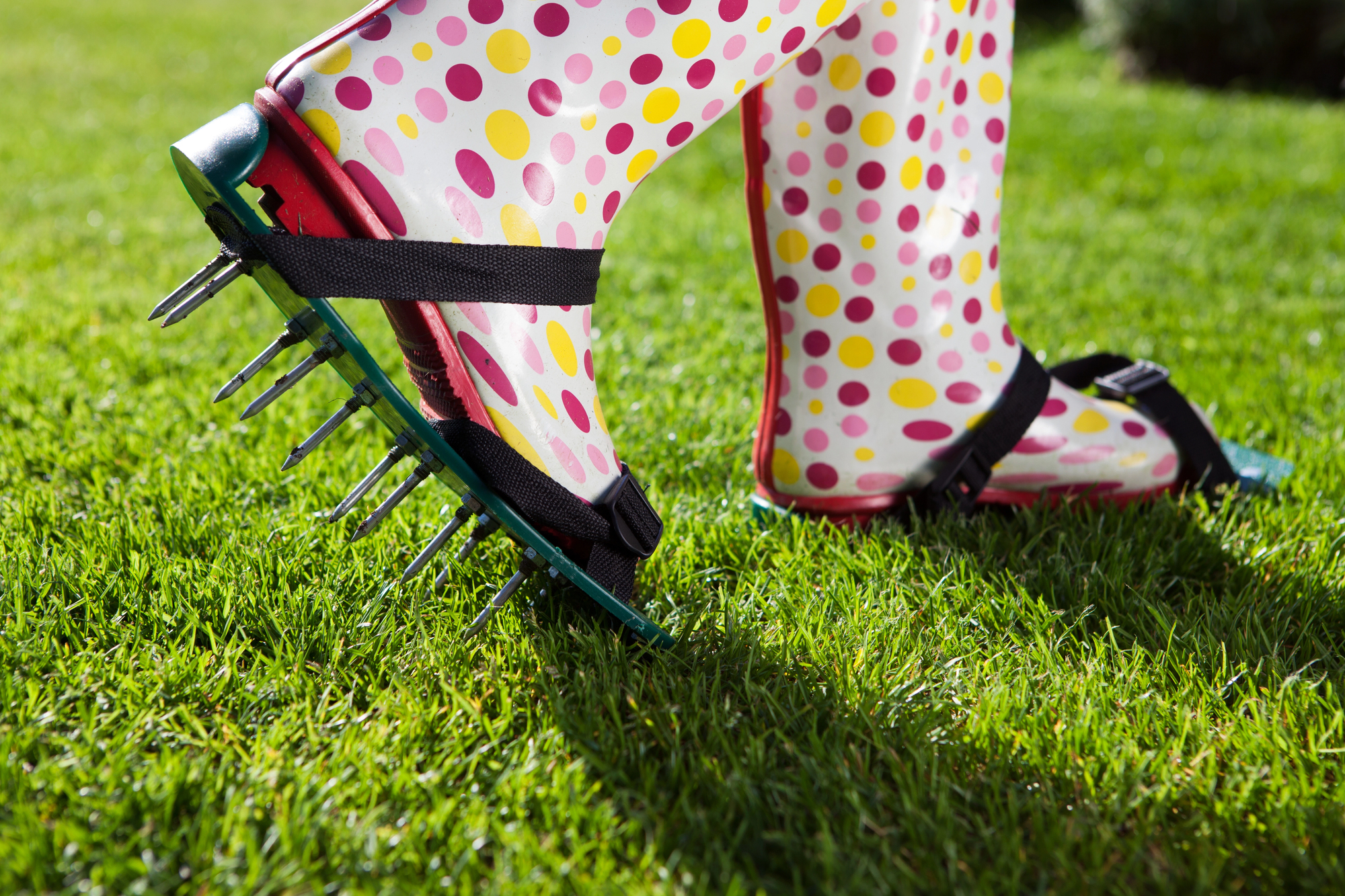 Aeration Tips for a Healthier Winter Lawn