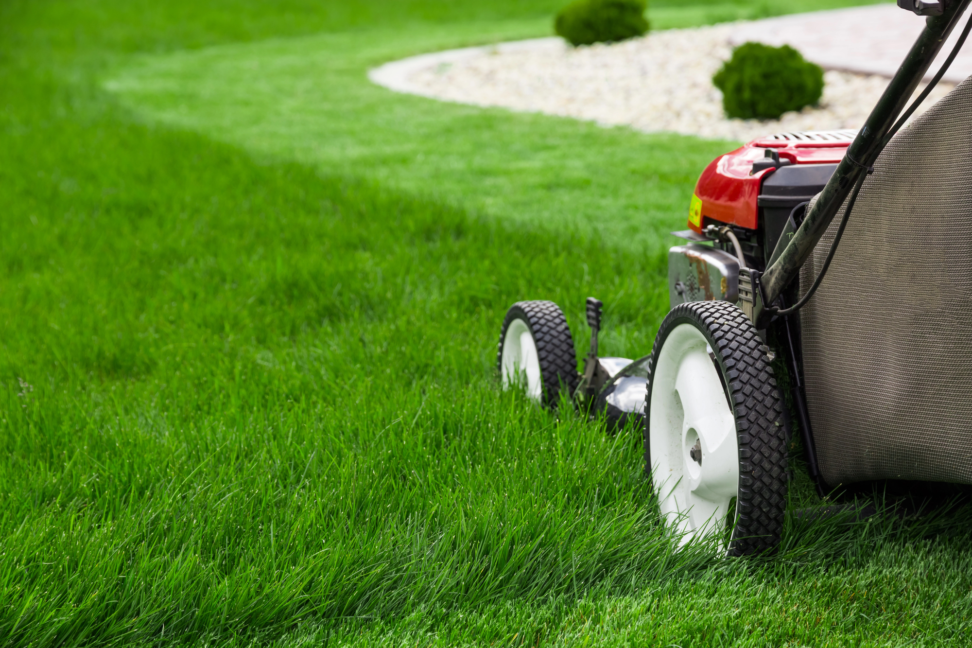 The Right Time to Mow: How to Adjust Cutting Height for Fall (Autumn)