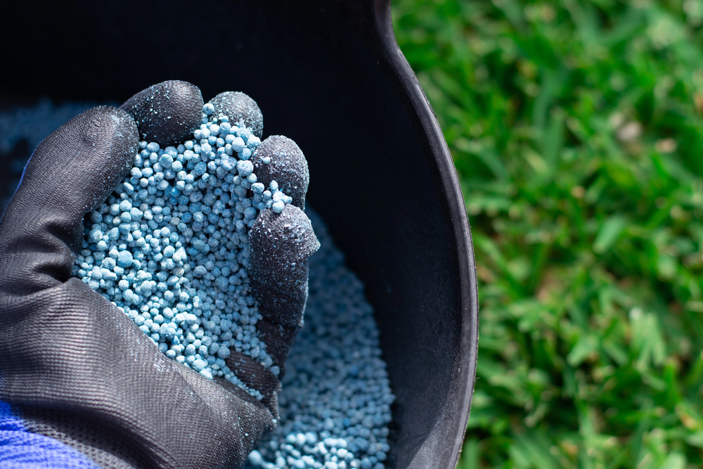 The Science Of Autumn Lawn Feeding – Choosing A Fertiliser That Encourages Roots