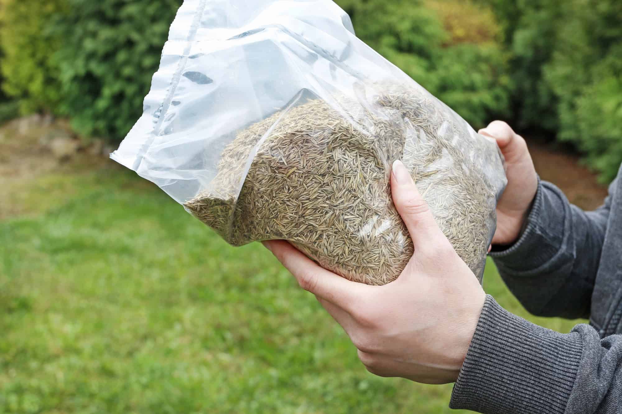 Woman is holding a bag of grass seeds in her hands.