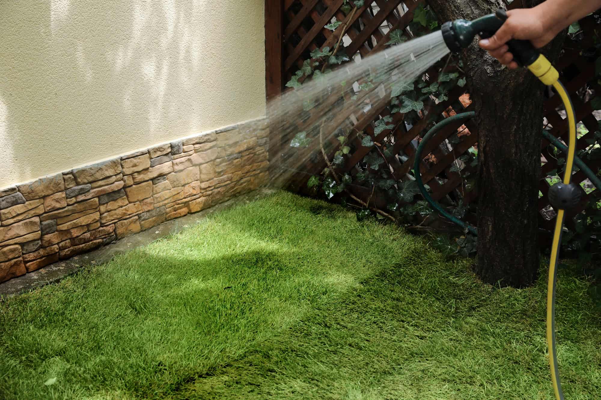 Man watering unrolled grass
