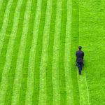 Aerial view of a person mowing a lawn in a public park with stripes cut into the grass