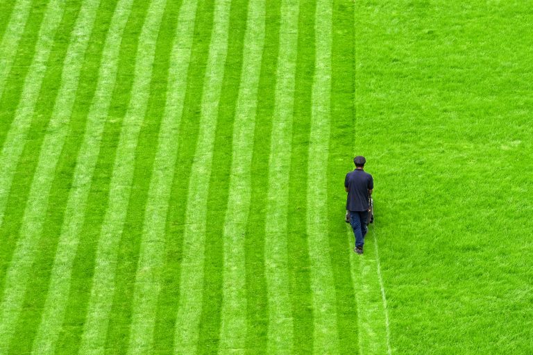 Aerial view of a person mowing a lawn in a public park with stripes cut into the grass