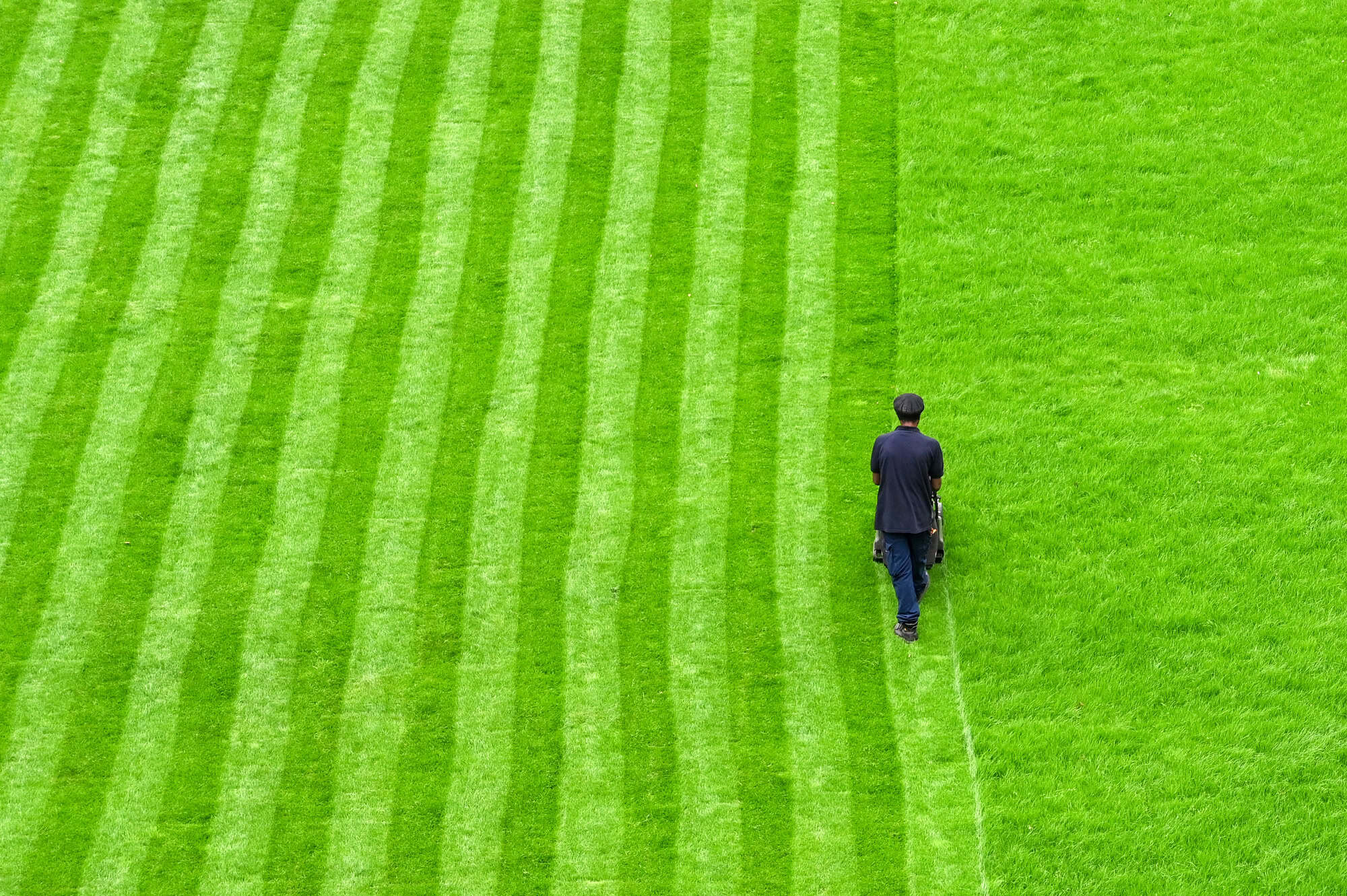 Aerial view of a person mowing a lawn in a public park with stripes cut into the grass