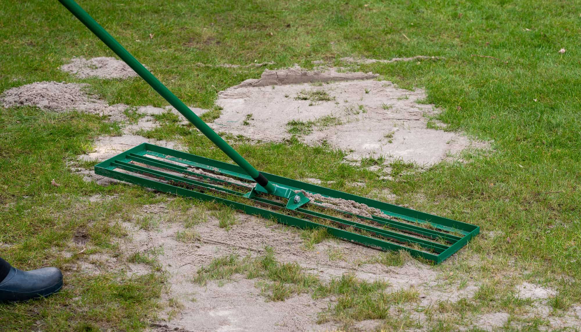 Why Topdressing in Late Spring Is the Renovation Step Most Gardeners ...