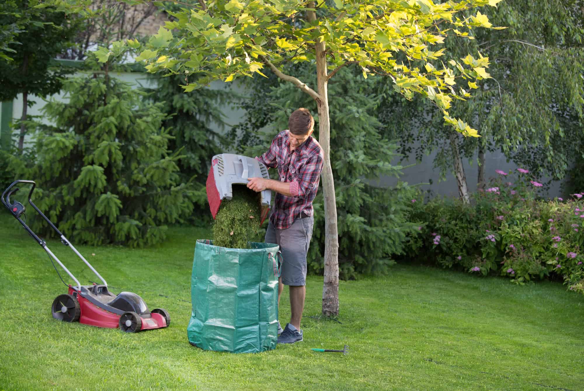 Gardener empty mower basket full of cuttings into plastic sack in garden