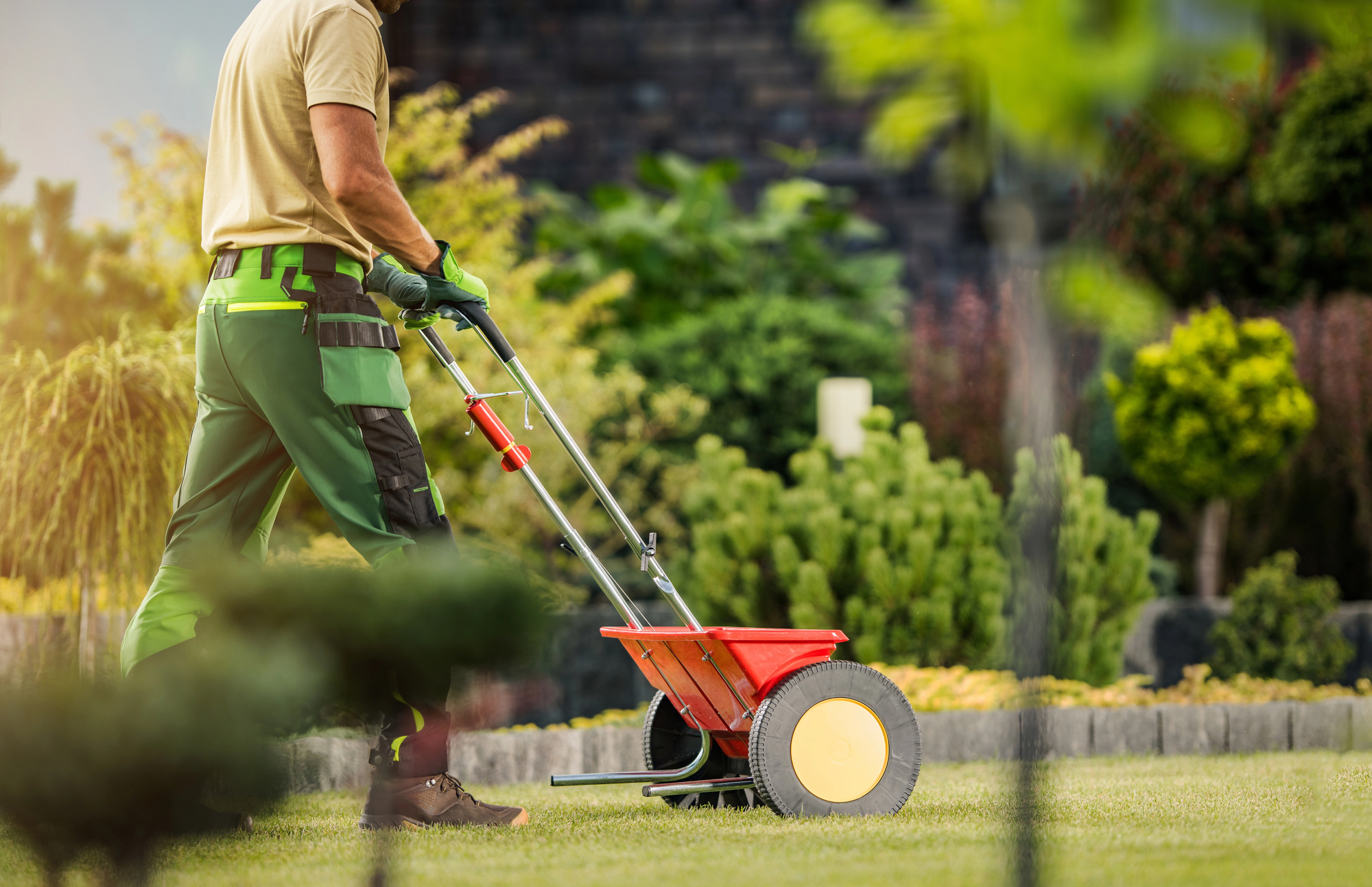 Professional Gardener with Push Spreader Fertilizing Residential Lawn