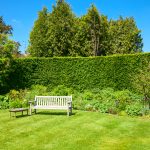 Wooden bench in a summer garden