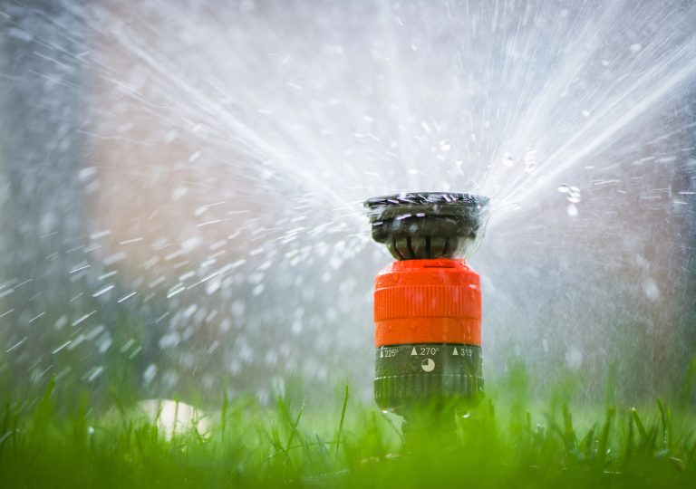 Sprinkler head spraying water