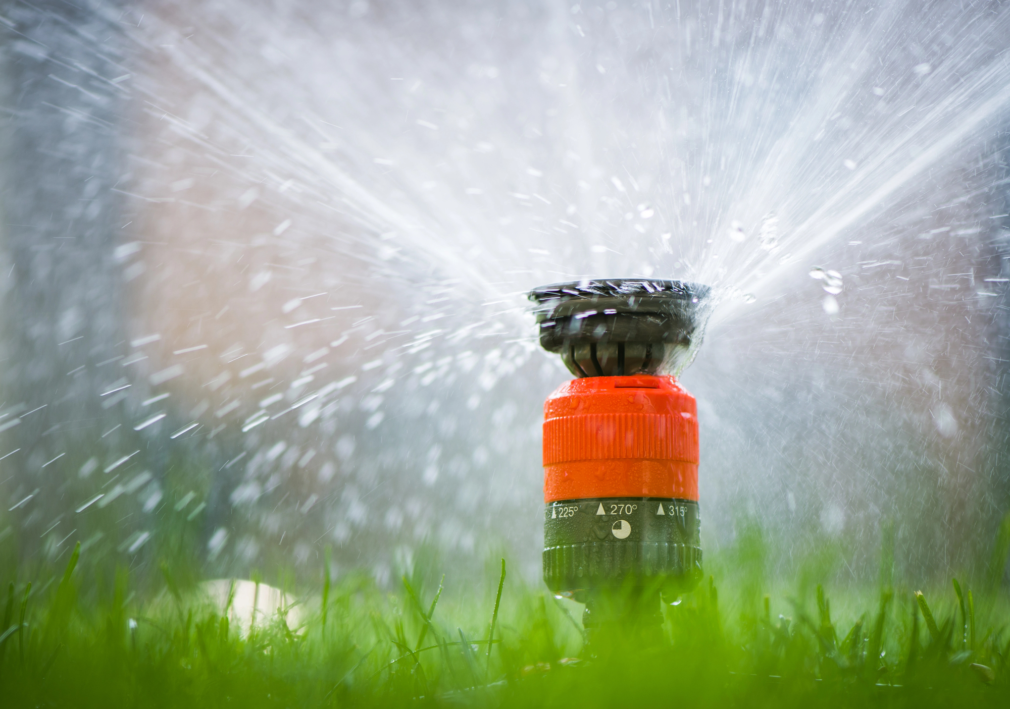 Sprinkler head spraying water
